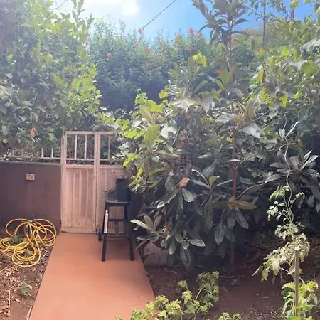 Tenerife Near